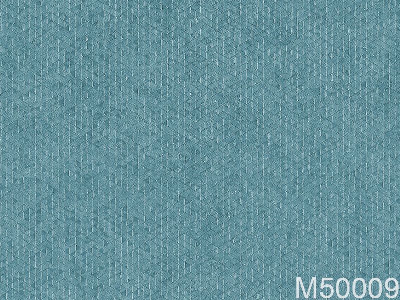 M50009